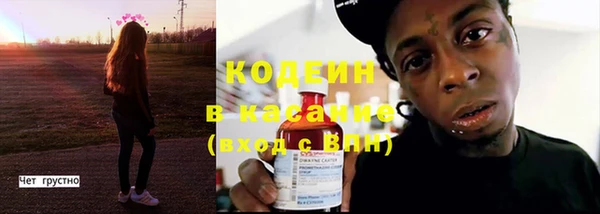 эйфоретик Богданович