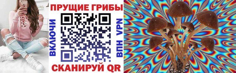 Галлюциногенные грибы мухоморы  Невельск 